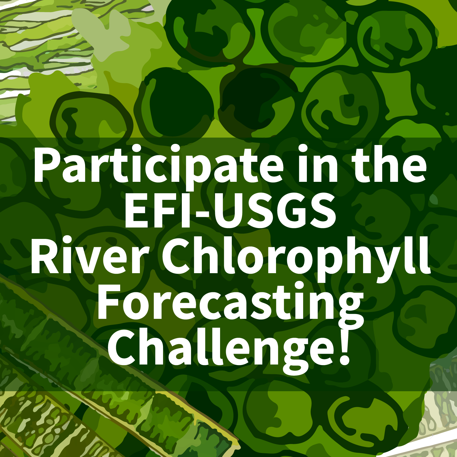 Participate in the EFI-USGS River Chlorophyll Forecasting Challenge!