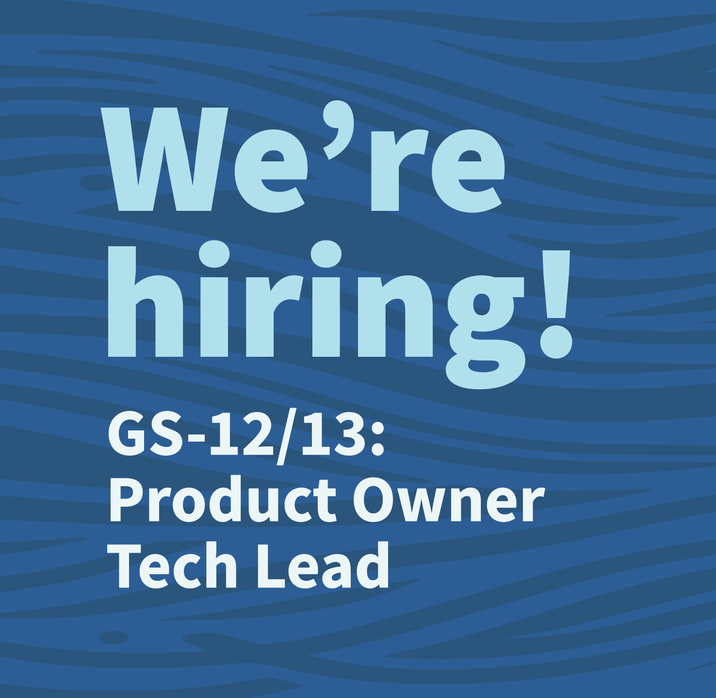 Product Owner and Tech Lead Hiring