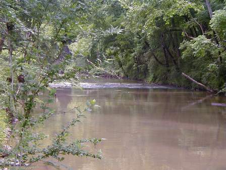 Fivemile Creek