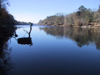 Link to the Suwannee River Water Management District 