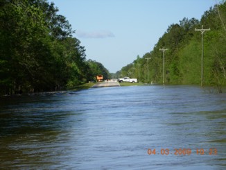 Link to the Department of Environmental Protection.