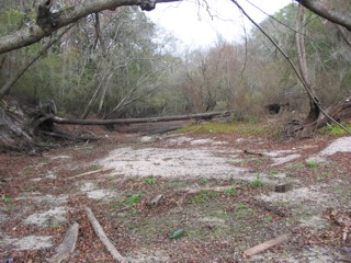 Link to the Suwannee River Water Management District 