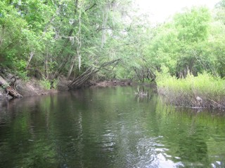 Link to the Suwannee River Water Management District 