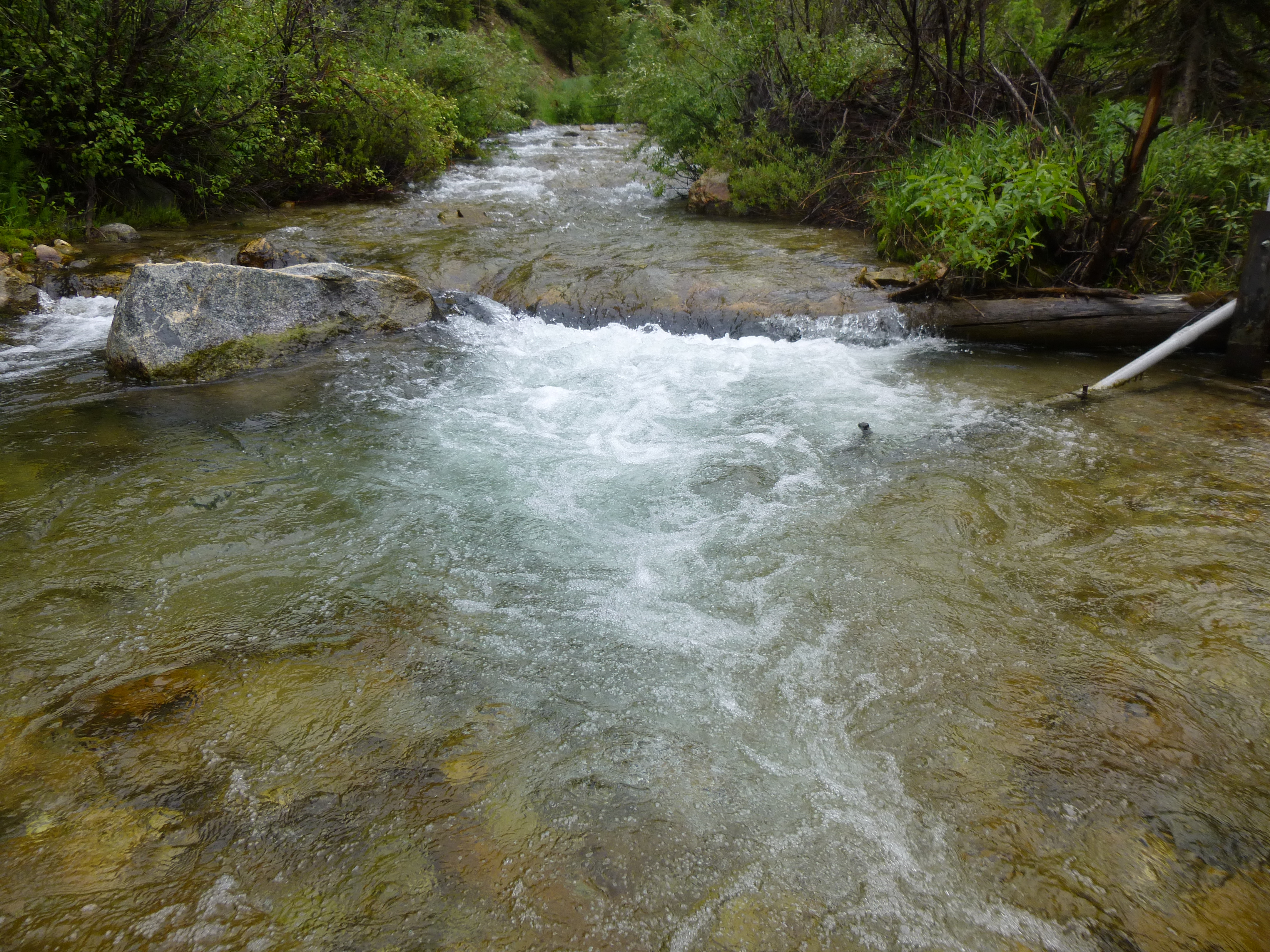 SUGAR CREEK NR STIBNITE, ID - USGS file photo