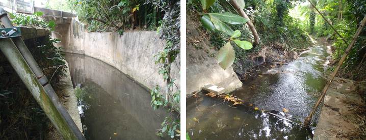 Image of Quebrada Santa Catalina near Guaynabo